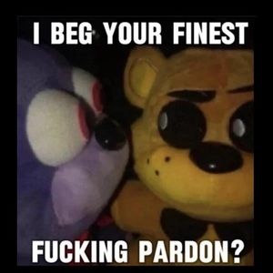 Meet your Posher, Logan